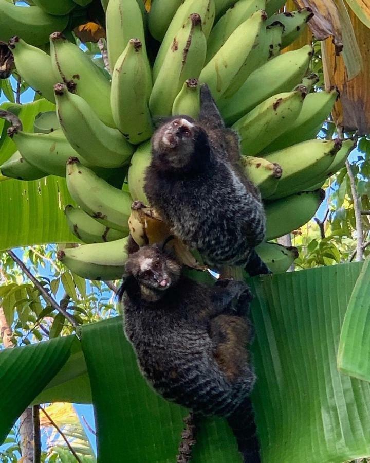 Pousada Sitio Da Bia Marau  Exteriér fotografie